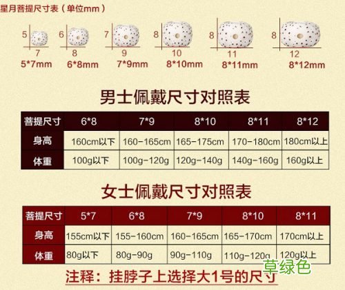 如何选择星月菩提的尺寸？