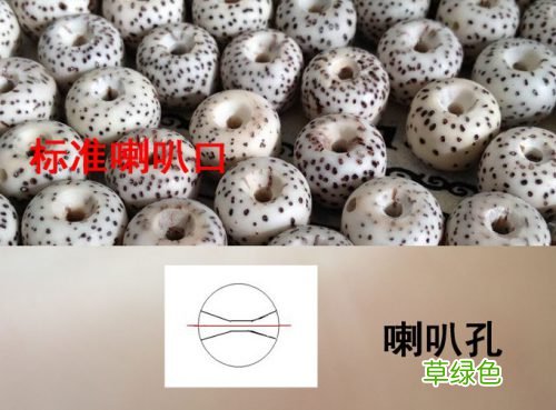 星月菩提喇叭孔和喇叭口的区别