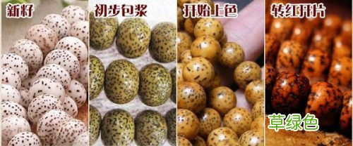 怎么玩星月菩提包浆上色快?