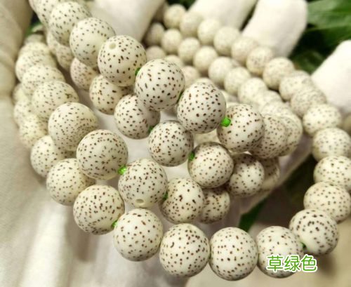 什么是星月菩提陈籽有何特征