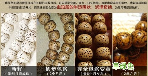 星月菩提盘成后图片欣赏