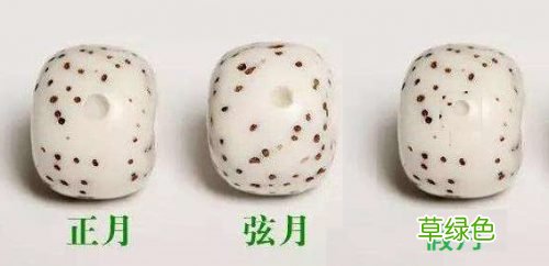 星月菩提子的正月比偏月贵多少？
