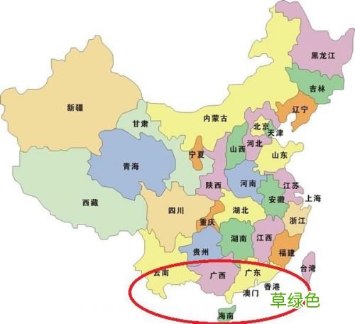 如何辨别星月菩提子的是不是海南籽？