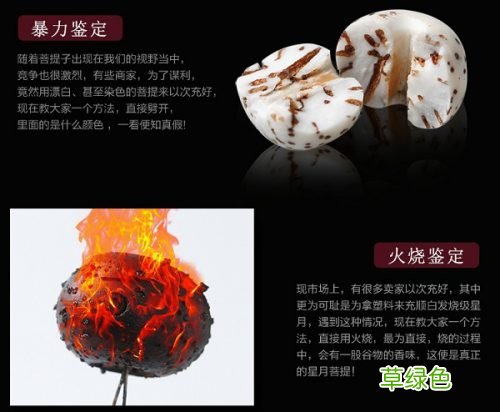 星月菩提的鉴别和盘玩方法