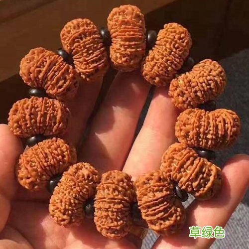 能平常心盘玩大金刚菩提 你就是砖家