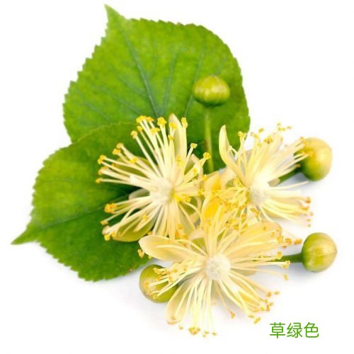 菩提花开,如是我来的意思是什么?