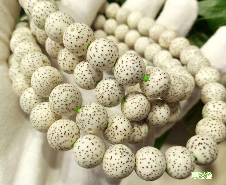 千眼菩提子和星月菩提有什么不同