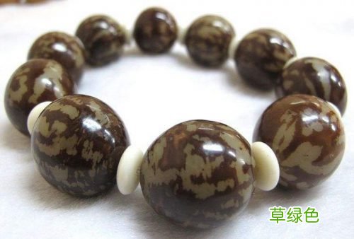 佛家四大菩提之一的菩提根收藏价值