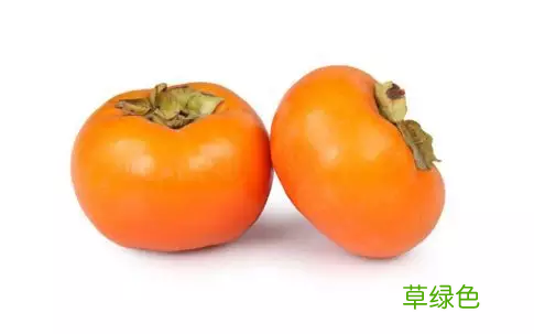 吃柿子不能吃什么药 宝宝吃柿子不能和什么一起吃