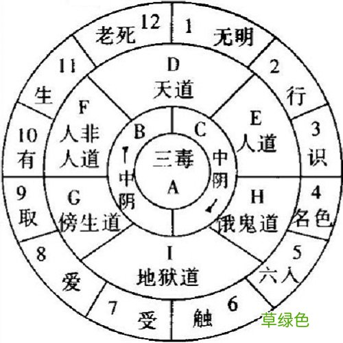 以佛法研究佛法 : 圣道现见的正法