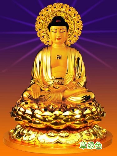 “莲花”象征着什么？莲花与佛教的关系