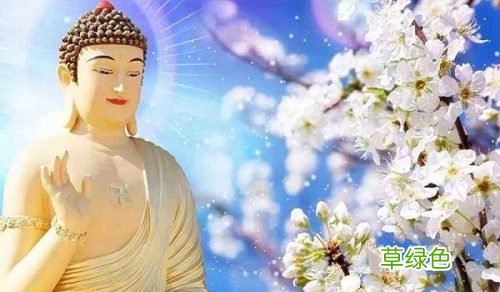 释迦牟尼佛圆寂以后在极乐世界吗？