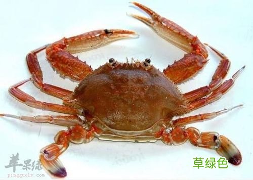 螃蟹不能和什么同吃 螃蟹不能和什么水果吃在一起