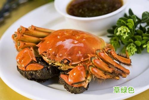 螃蟹跟什么不能在一起吃 螃蟹不能和什么东西在一起吃