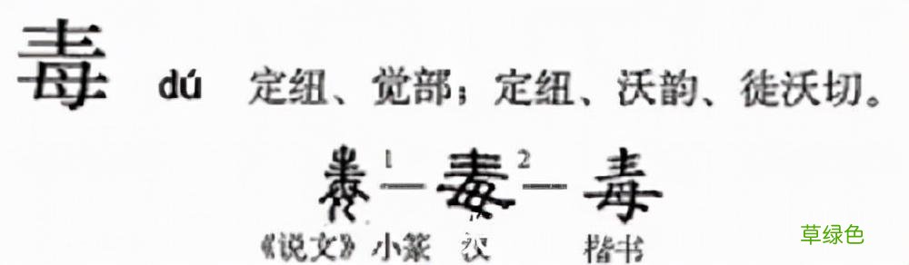 母亲如此伟大，为何“毒”里有个“母”字？古人造字思维令人惊叹 姆什么字