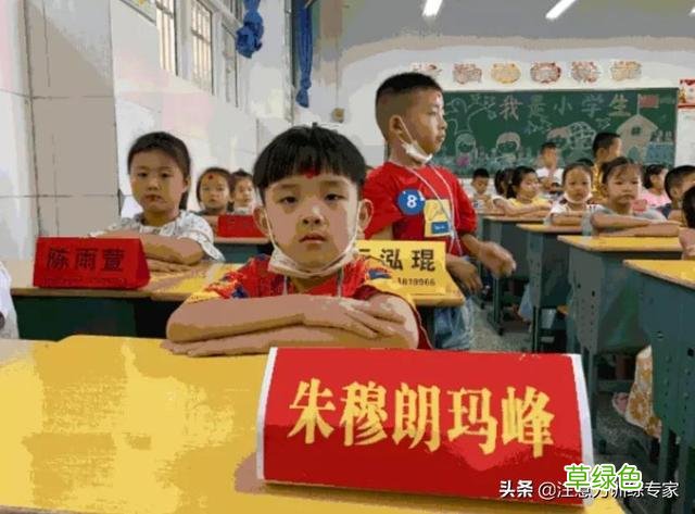 1小学生因名字“简单”爆火，连名带姓就2笔，网友大赞好名字 女孩名字乙