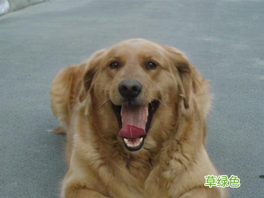 妞宝宝，主人来世还等着你 妞开头名字