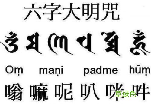 哪部佛经是延寿的？