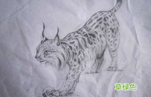 诵经前为什么要燃香？