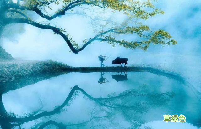百家姓之秦姓,霸气无敌,天下咸服!仁义厚德,古韵悠扬 姓秦的名字