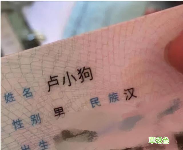 爸爸取名能有多草率，孩子姓“熊”名字太霸气，预测还要接着生 姓熊取名字