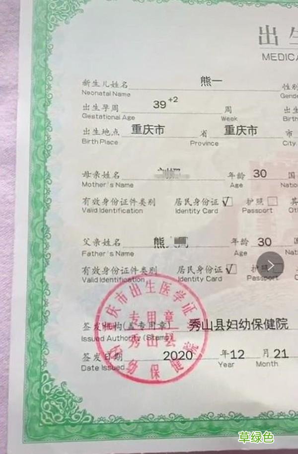 爸爸取名能有多草率，孩子姓“熊”名字太霸气，预测还要接着生 姓熊取名字