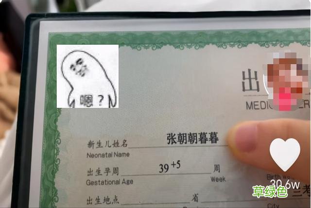 爸爸取名能有多草率，孩子姓“熊”名字太霸气，预测还要接着生 姓熊取名字