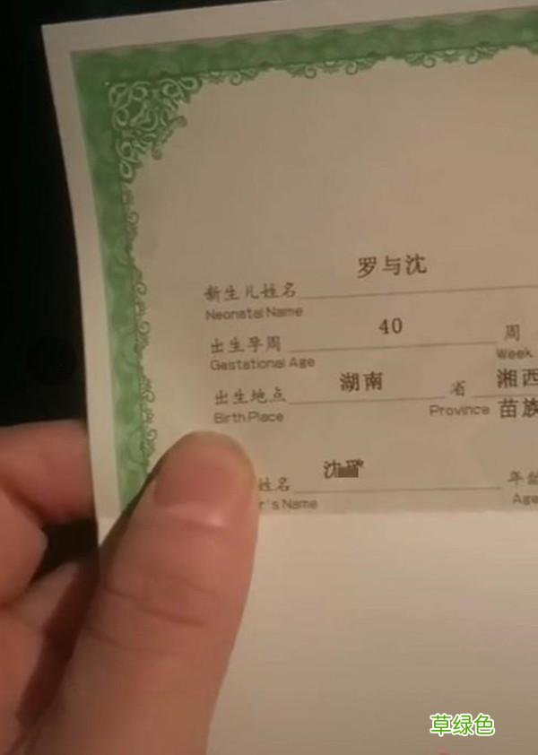 爸爸取名能有多草率，孩子姓“熊”名字太霸气，预测还要接着生 姓熊取名字