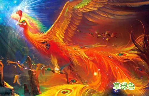 四种无碍辩才的运用