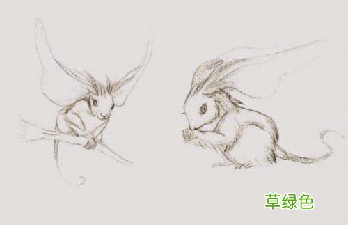 出家人为什么要结夏安居？
