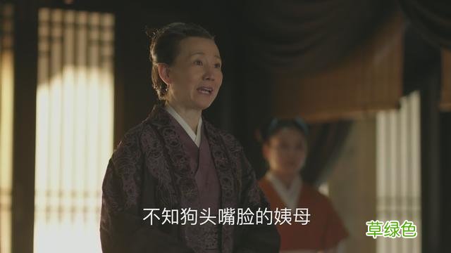 知否原著“因投毒进了慎戒司”的康姨妈：她，见不得人好又拎不清 姓何是什么康