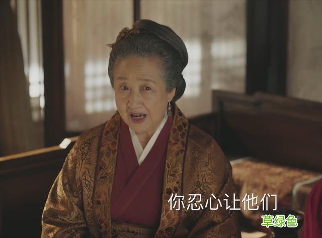 知否原著“因投毒进了慎戒司”的康姨妈：她，见不得人好又拎不清 姓何是什么康