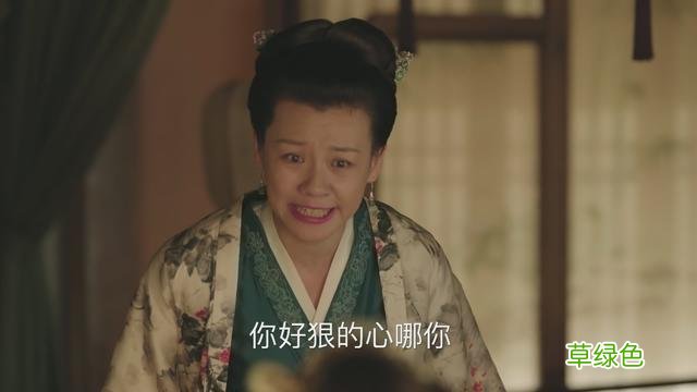 知否原著“因投毒进了慎戒司”的康姨妈：她，见不得人好又拎不清 姓何是什么康