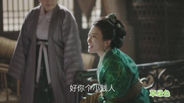 知否原著“因投毒进了慎戒司”的康姨妈：她，见不得人好又拎不清 姓何是什么康