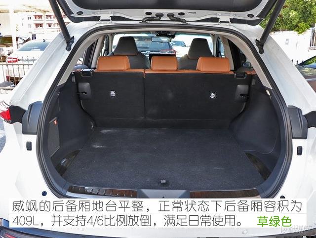 谁说双胞胎一定像？到店体验广汽丰田威飒 威取名字