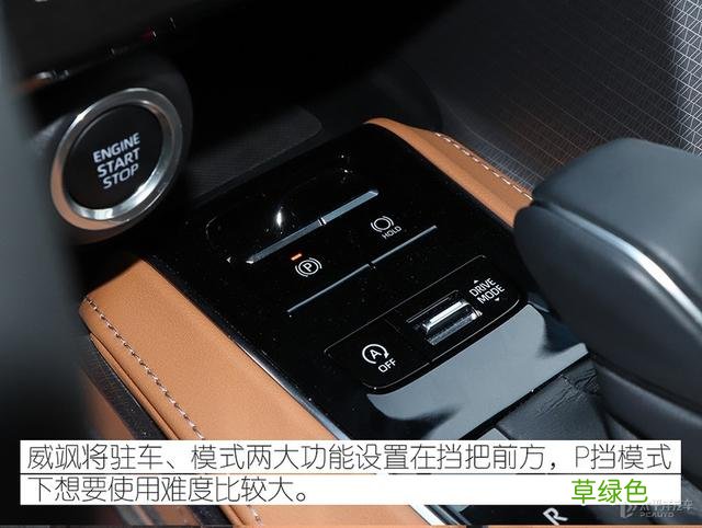谁说双胞胎一定像？到店体验广汽丰田威飒 威取名字