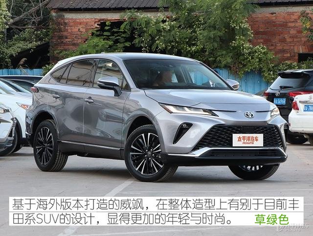 谁说双胞胎一定像？到店体验广汽丰田威飒 威取名字