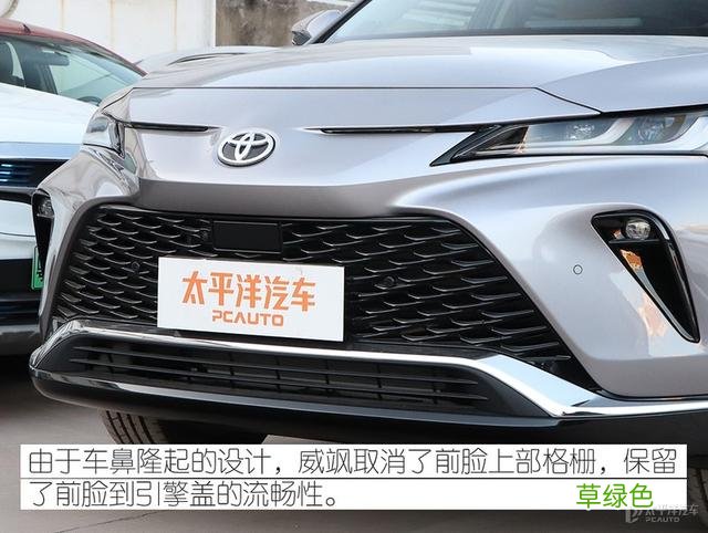 谁说双胞胎一定像？到店体验广汽丰田威飒 威取名字