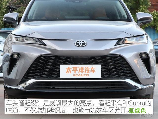 谁说双胞胎一定像？到店体验广汽丰田威飒 威取名字