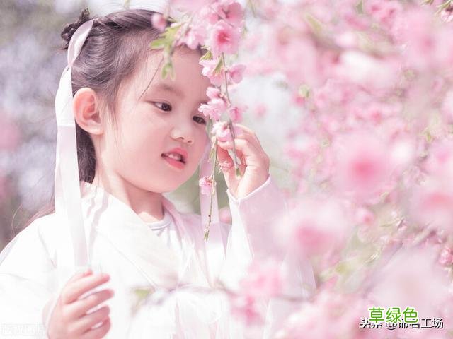 给女儿起个绝世独立的好名 清风徐来 馨香四溢 助她未来扶摇直上 娟字怎么解析