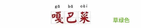 栲栳栳、老鼠粄、氽灌肠，全国各地特色小吃你能读对几个？ 姓莜怎么读