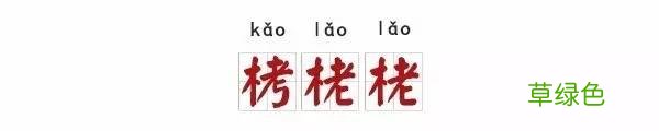栲栳栳、老鼠粄、氽灌肠，全国各地特色小吃你能读对几个？ 姓莜怎么读