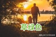孝字牌戴多久,之后怎么处理？ 孝字繁体怎么写