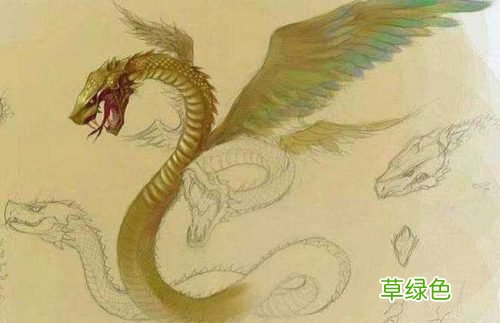 孩子不听话家长发脾气怎么办？