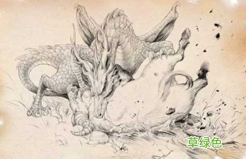 不要将孩子培养成“白眼狼”