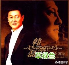 有一本小说的主角叫孙晨？ 孙晨什么名字