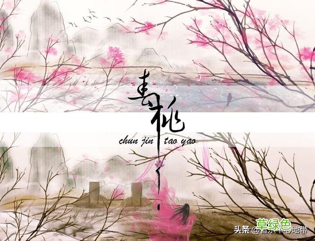 有一本小说的主角叫孙晨？ 孙晨什么名字
