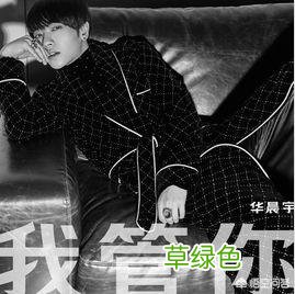 有一本小说的主角叫孙晨？ 孙晨什么名字