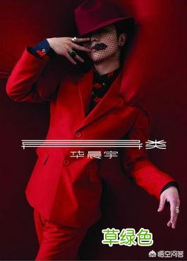 有一本小说的主角叫孙晨？ 孙晨什么名字