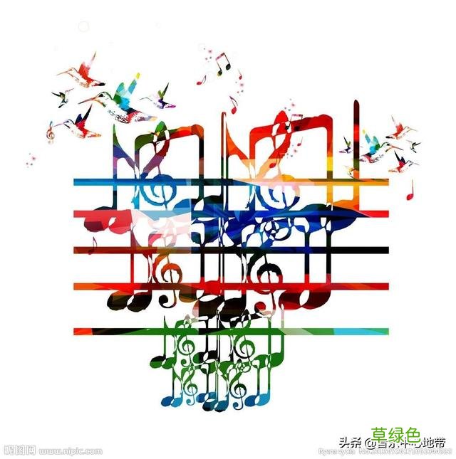 有一本小说的主角叫孙晨？ 孙晨什么名字